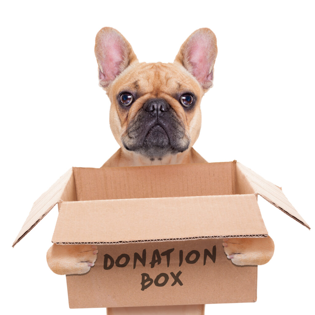 donate pet supplies near me, donate pet food